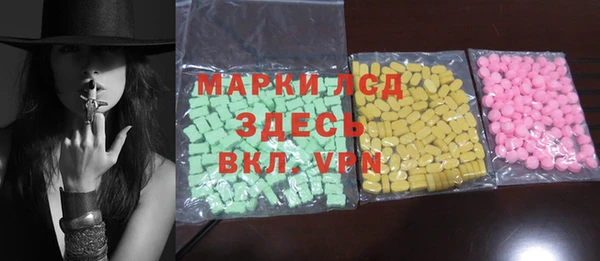 индика Осинники