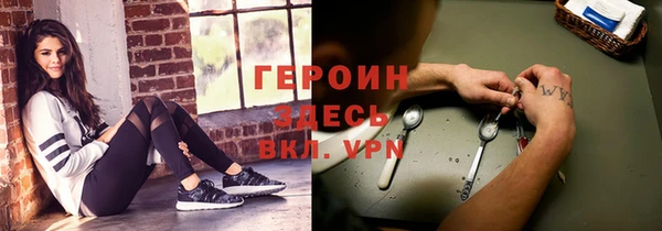 индика Осинники
