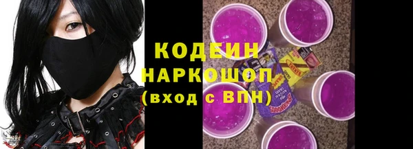 индика Осинники