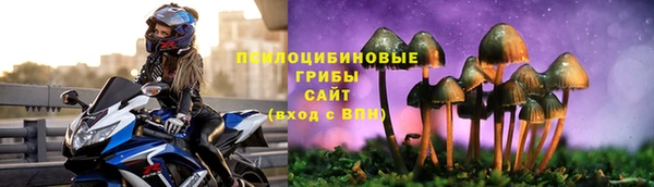 индика Осинники