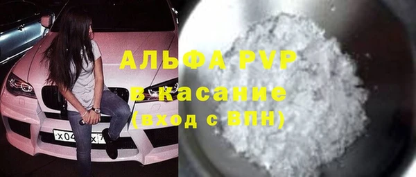 индика Осинники
