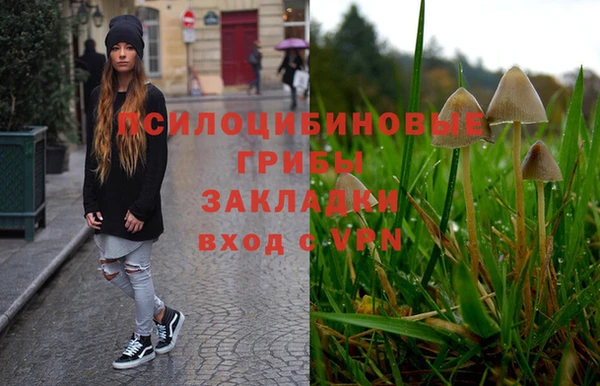 индика Осинники