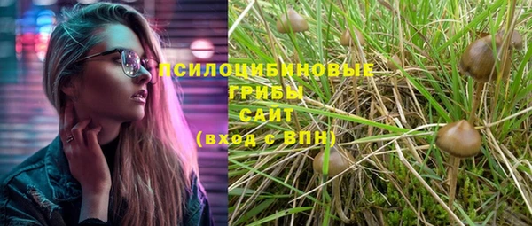 мяу мяу мука Остров