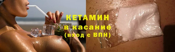 индика Осинники