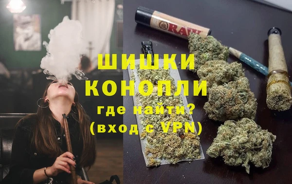индика Осинники