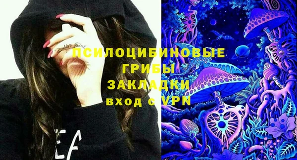 индика Осинники