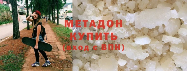 индика Осинники