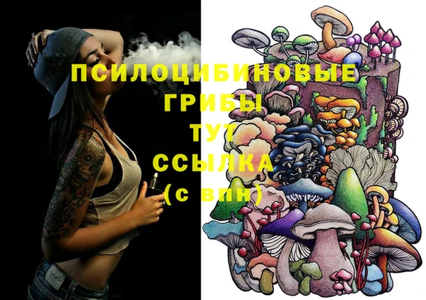 индика Осинники