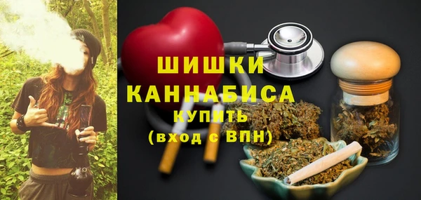 индика Осинники