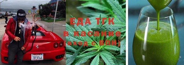 индика Осинники
