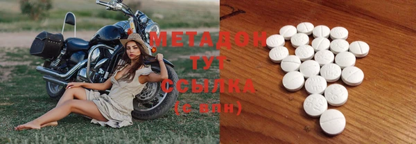 индика Осинники